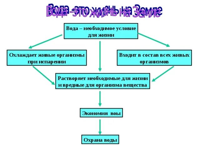 Условия необходимые для жизни организмов. Условия необходимые для жизни. Условия необходимые для жизни на земле. Условия жизни организмов.