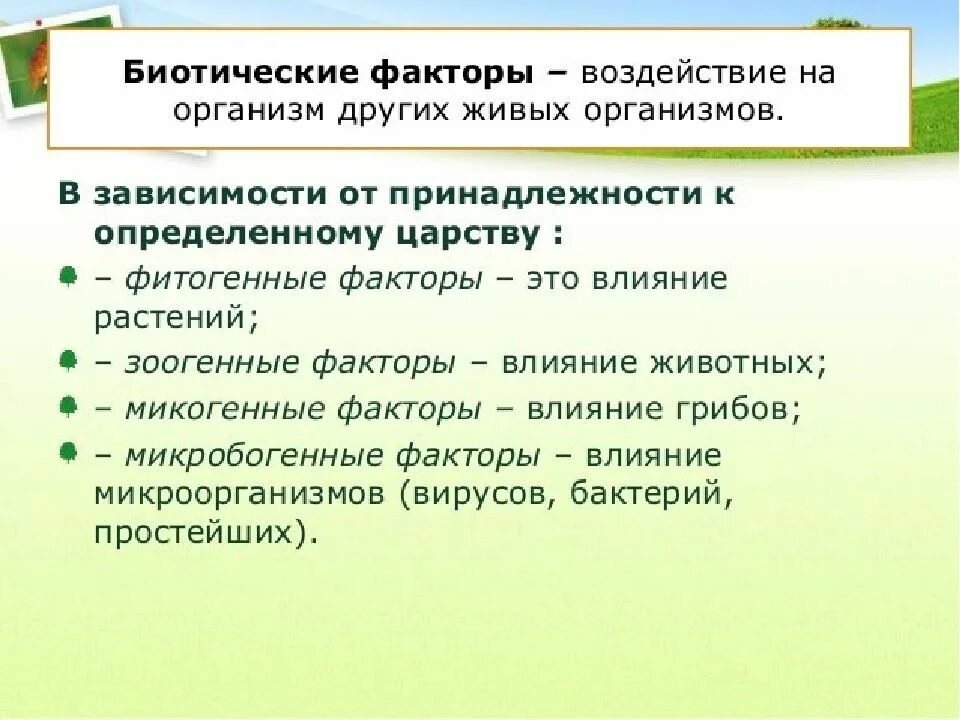 Фитогенные биотические факторы. Биотические факторы фитогенные зоогенные. Влияние биотических факторов на организм. Микробиогенные факторы. Биотическими факторами называют совокупность факторов