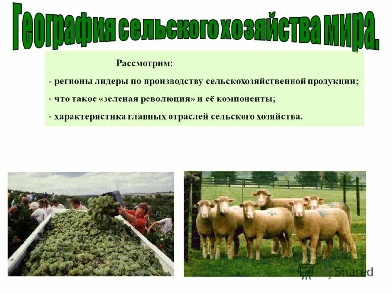 Районы производства сельскохозяйственной продукции. Регионы Лидеры по производству сельскохозяйственной продукции. Презентация на тему зелёная революция. Компоненты производства сельскохозяйственной продукции. Проблемы питания и производства сельскохозяйственной продукции.