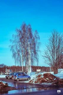 Погода в глазове в ноябре