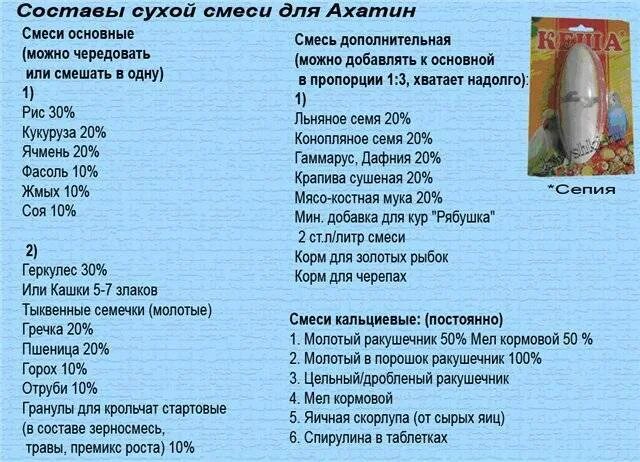 Чем можно кормить улиток. Таблица питания улиток ахатин. Рацион питания улиток ахатин. Какую еду можно давать улиткам ахатинам. Чем кормить улиток ахатин.