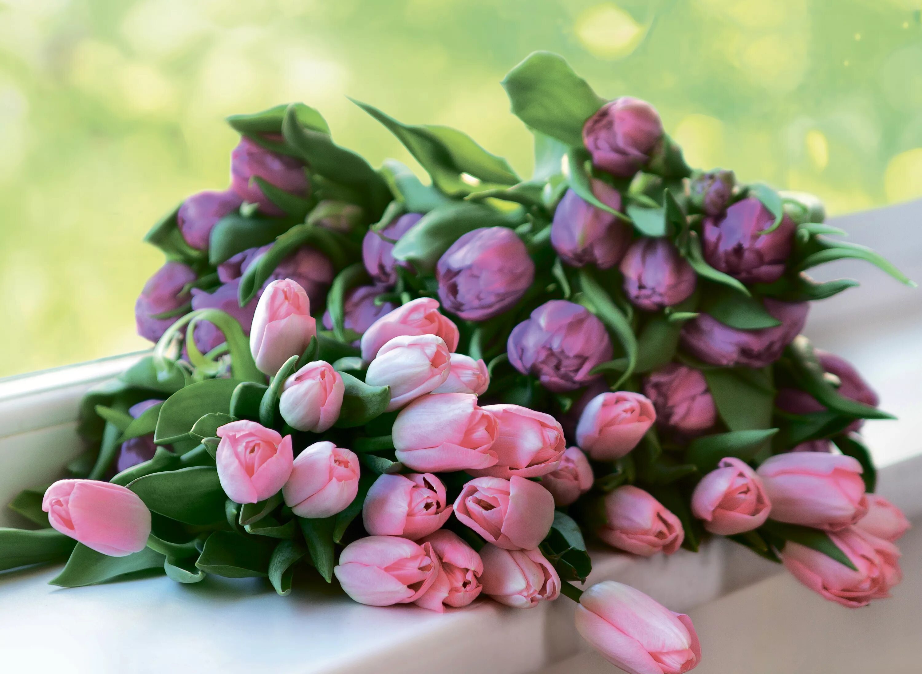 Весенний букет. Букет тюльпанов. Красивый весенний букет. Красивые тюльпаны. Картинка цветы тюльпаны букеты