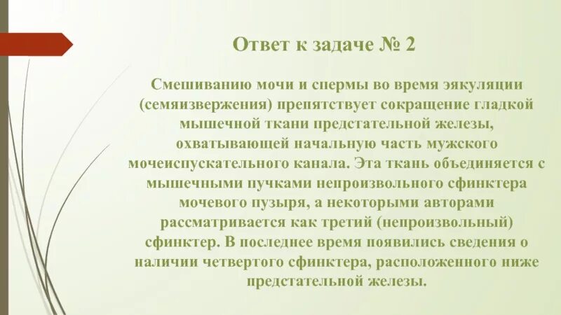 Почему моча не смешивается с мочой. Эякуляция сокращение мышц. Что происходит во время эякуляции. Что происходит с простатой во время Семяизвержения. Лечение быстрого семяиспускание у мужчин