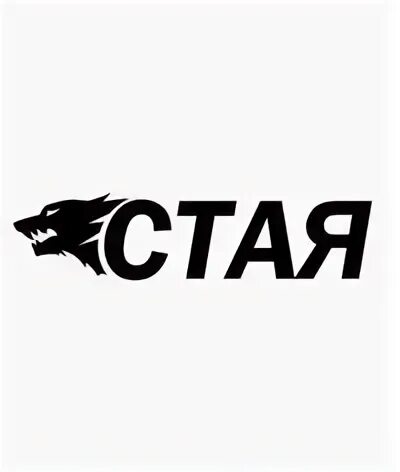 Есть слово стай