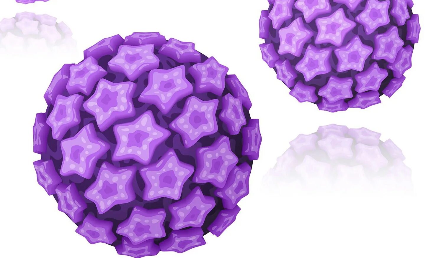 ВПЧ 3д модель. Papilloma virus