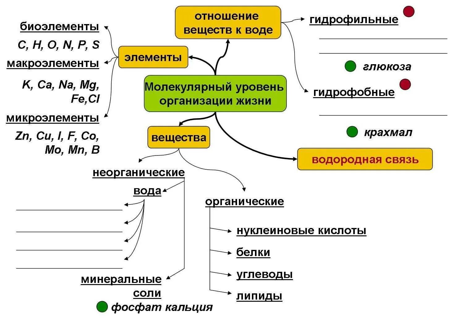 Используя ключевые слова параграфа. Опорные конспекты по биологии. Ментальная карта биология. Опорные конспект по общей биологии. Опорный конспект по биологии 9 класс.