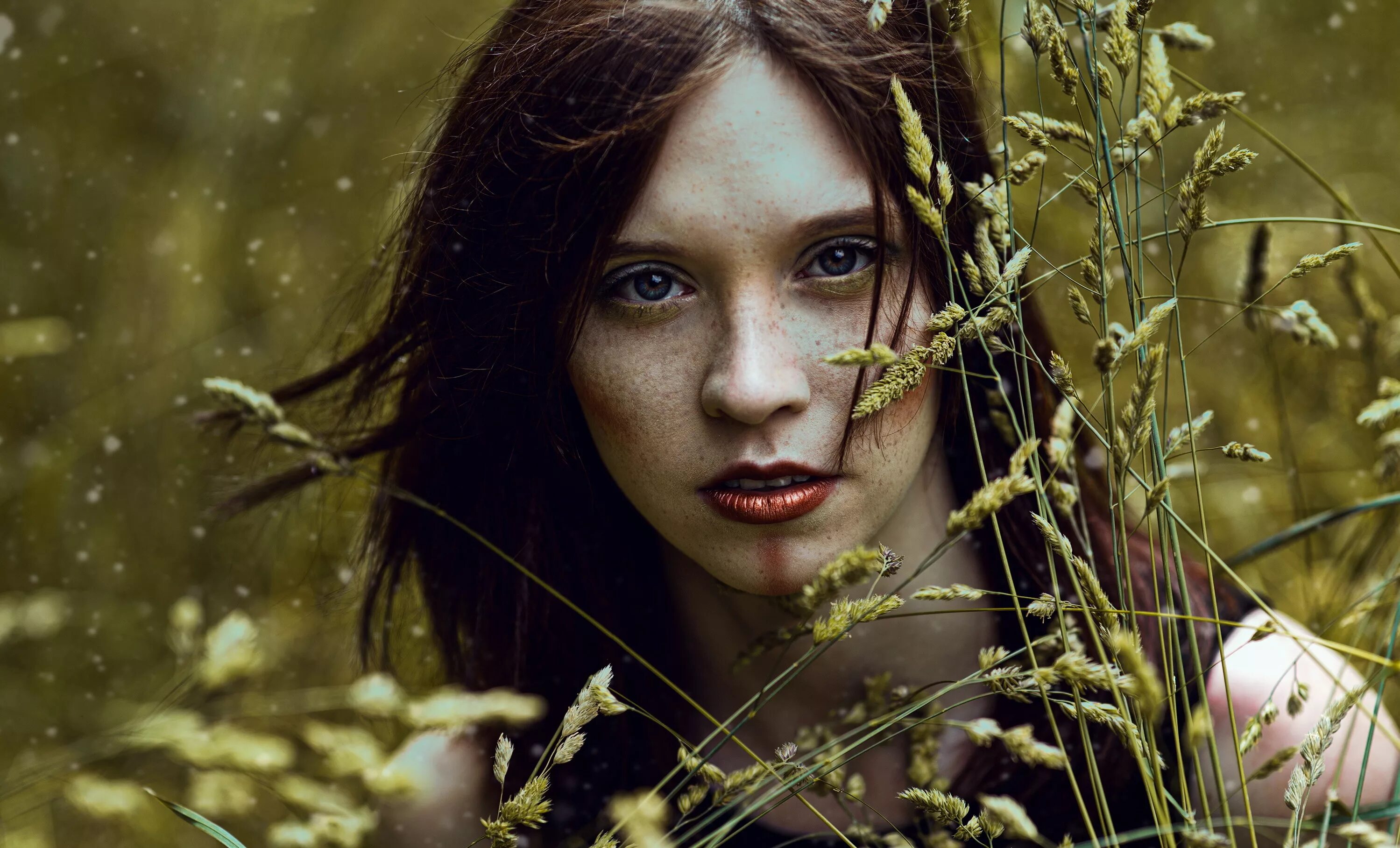 Michelle rosillo. Красота в глазах смотрящего автор цитаты. Голубоглазые девушки. Красотка в глазах смотрящего. Красивая женщина.