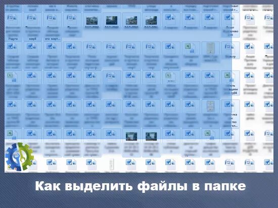 Как выделить все файлы в папке. Как выделить все файлы в папке