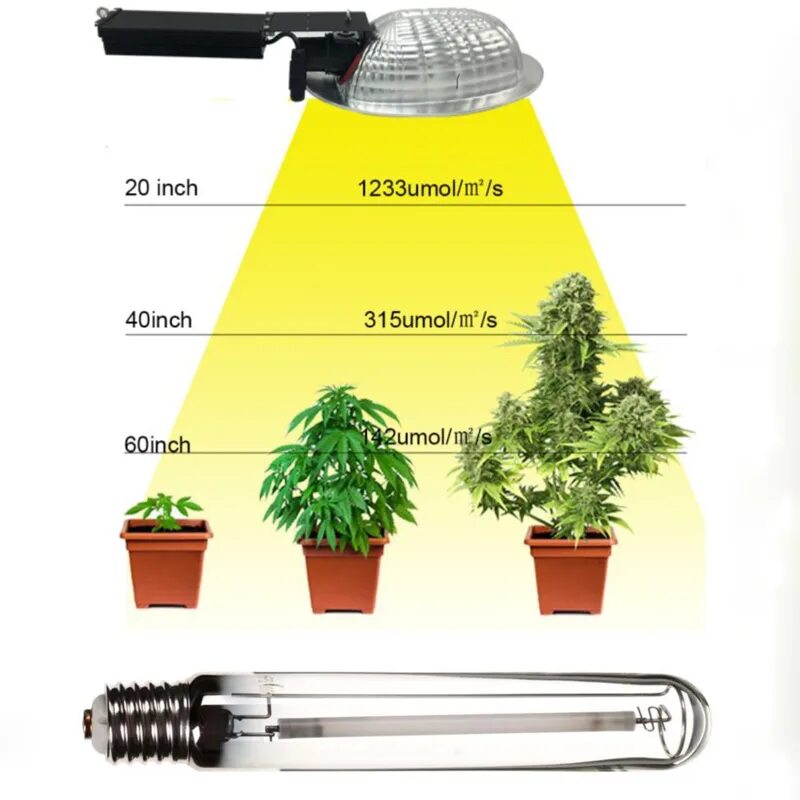 Лампы для гроубокса. PPFD ДНАТ 600. Лампа ДНАТ 600. Лампа ДНАТ 1000 В гроубокс. ДНАТ для гроубокса 600 Вт.