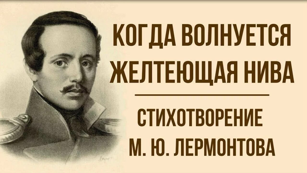 Когда волнуется желтеющая Нива. Желтеющая Нива Лермонтов. М Ю Лермонтов когда волнуется желтеющая Нива. Стихотворение м.ю. Лермонтова "когда волнуется желтеющая Нива...".