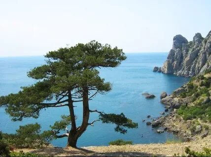 Дуба море