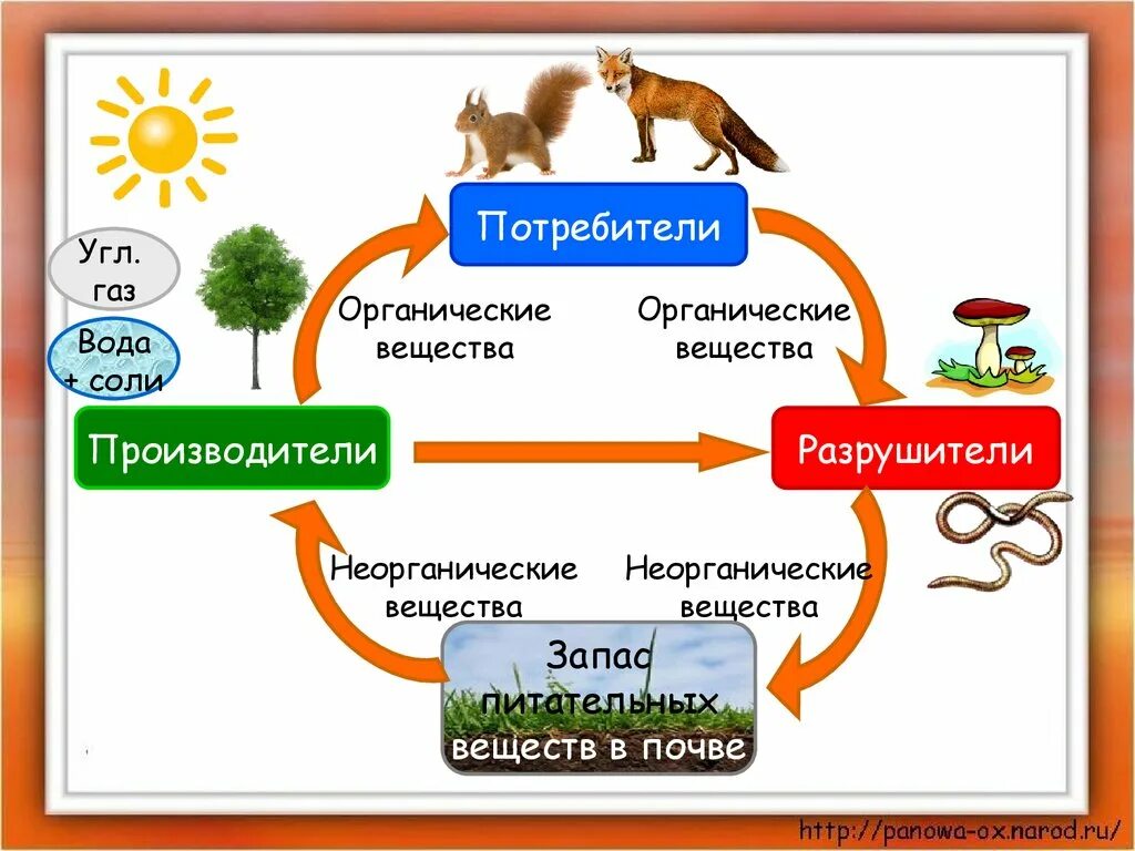 Круговорот жизни в природе 3 класс схема. Великий круговорот жизни 3 класс модель. Модель по окружающему миру 3 класс Великий круговорот жизни. Схема Великий круговорот жизни 3 класс. Круговорот жизни человека