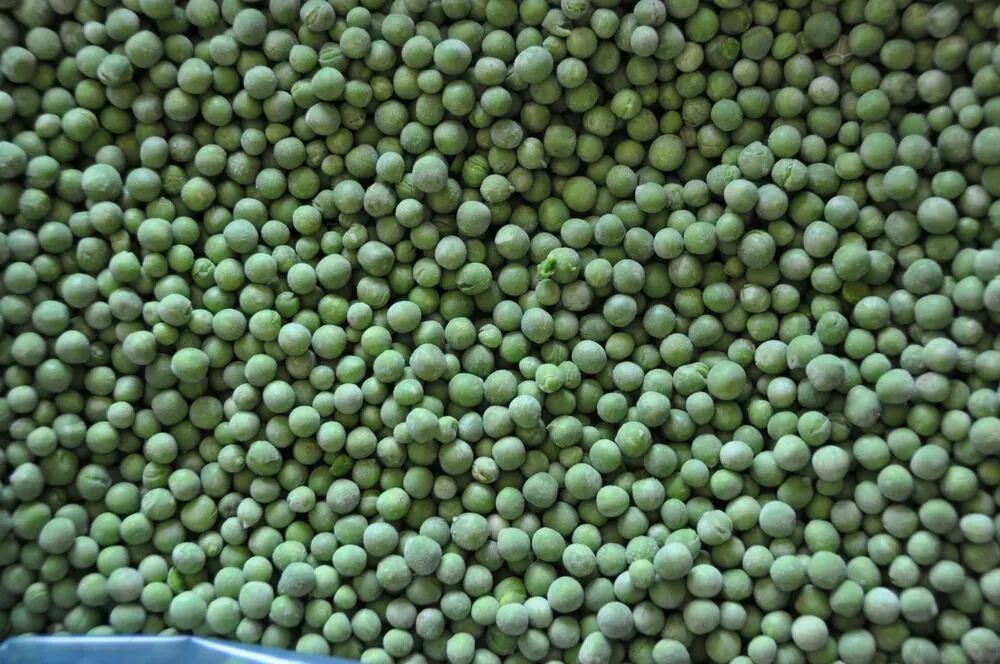 зелёный горошек замороженный. горошек зеленый быстрозамороженный 10кг. горох зеленый замороженный. зеленый горошек заморозка. горошек зеленый свежемороженый.