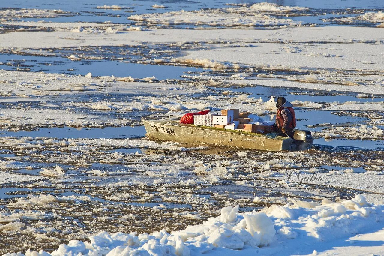 Погода в ижме рп5. Река Ижма Коми. Ижма Республика Коми рыбалка. Хатанга лето. Переправа в Ижме.