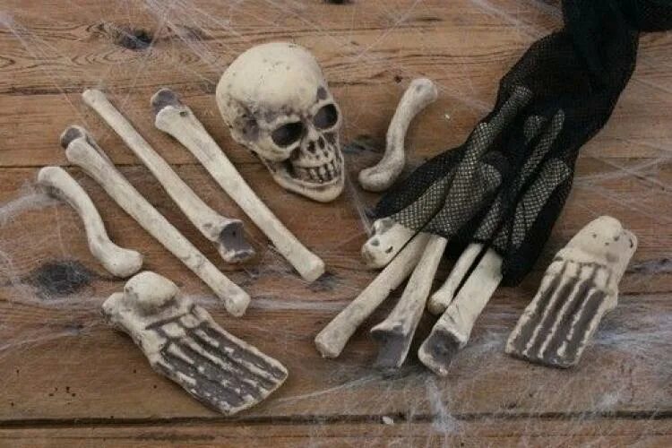 мешочек с костями. мешочек с костями. мешочек с костями. мешок с костями. вытянутый мешок с костями.