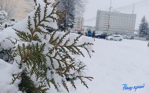 Беларусь присыпало снежком