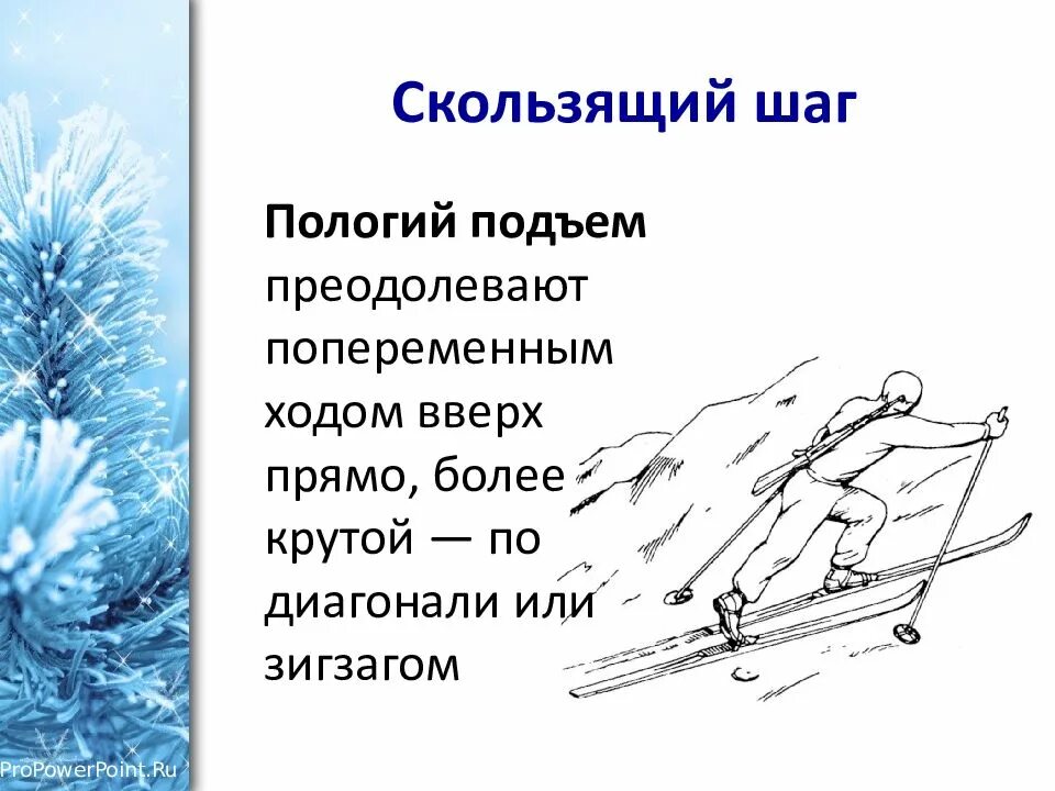 Подъем шагом. Подъем скользящим шагом на лыжах. Подъем скользящим шагом на лыжах техника. Техника подъема в гору скользящим шагом. Способы подъема на лыжах скользящим шагом.