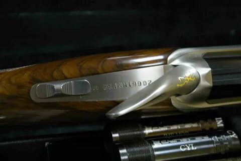 Browning cynergy