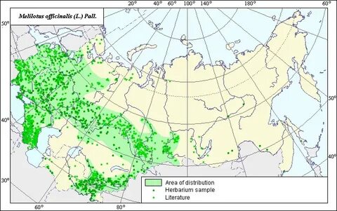 Карта амброзии