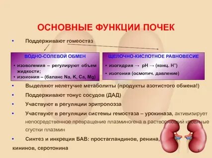 Обмен почками