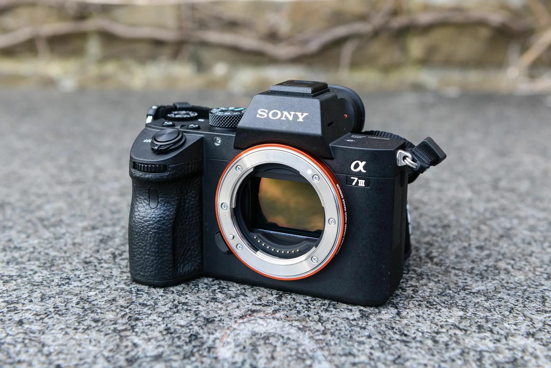 Sony 7 купить. Sony Alpha a7 III. Фотоаппарат Sony Alpha 7 III. Sony Alpha Ilce-7m3. Sony Alpha a7 lll.