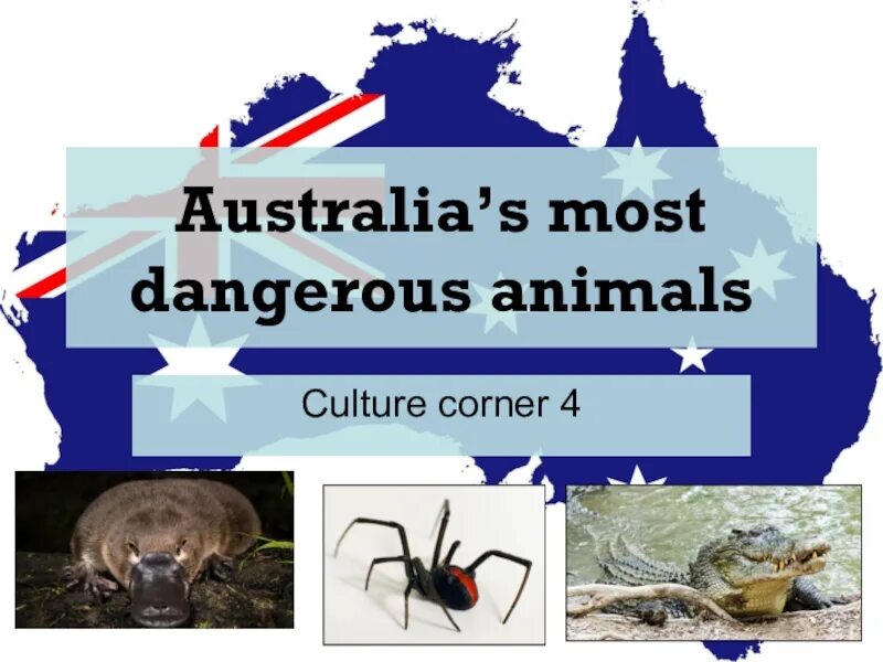 Animals in danger at present