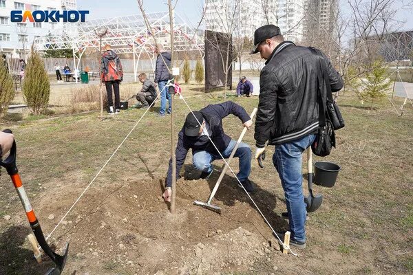 Новости блокнот волгоградские. Блокнот волгоград новости. Блокнот волгограда новости сегодня последние свежие. Реклама пленэр. Двор пятиэтажки.