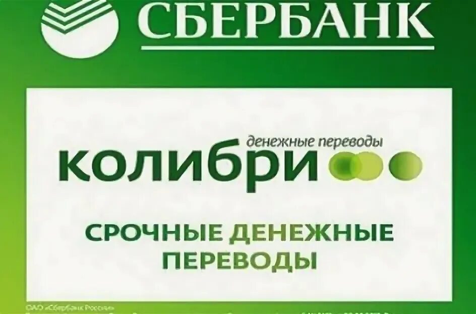 Колибри компания. Колибри зеленоград. Ооо колибри тимашевск. Код колибри. Логотип колибри телеком.