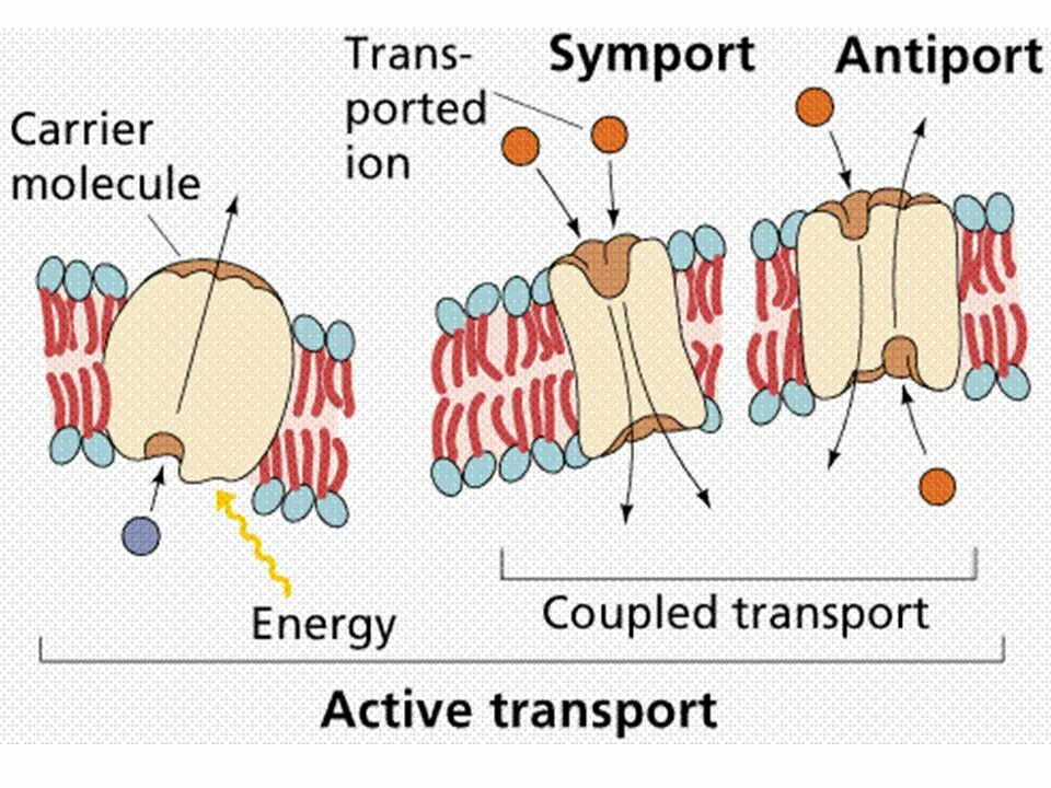 The transport you used. Настольная игра «транспорт». Modes of transport. Задания транспорт на англ. Виды путешествий на английском.