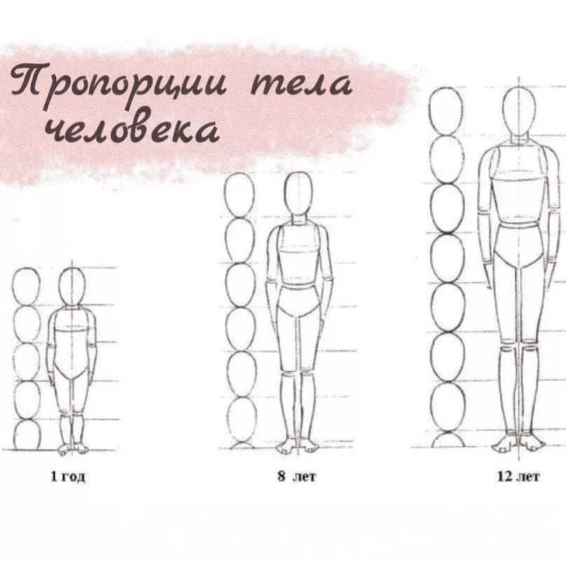 Пропорции тела человека схема. Схема рисования фигуры человека. Пропорции человека для рисования. Пропорции человеческого тела для рисования. Рисунок насколько