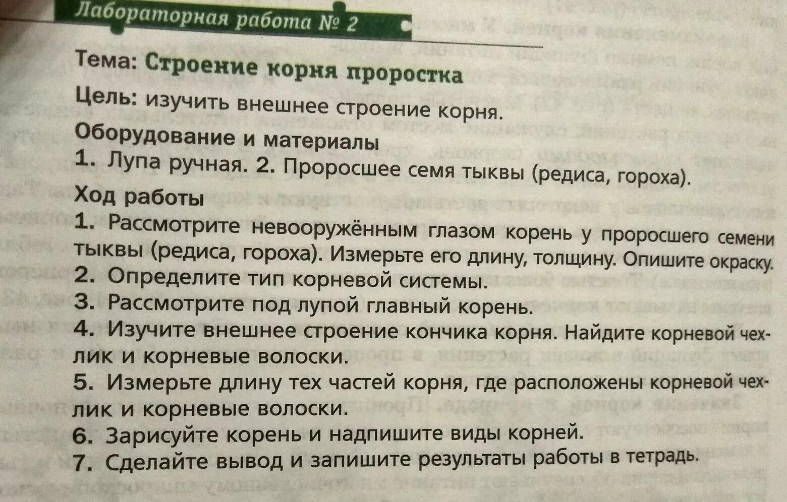 Лабораторная работа строение. Лабораторная работа строение