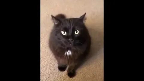 Включи плохое видео