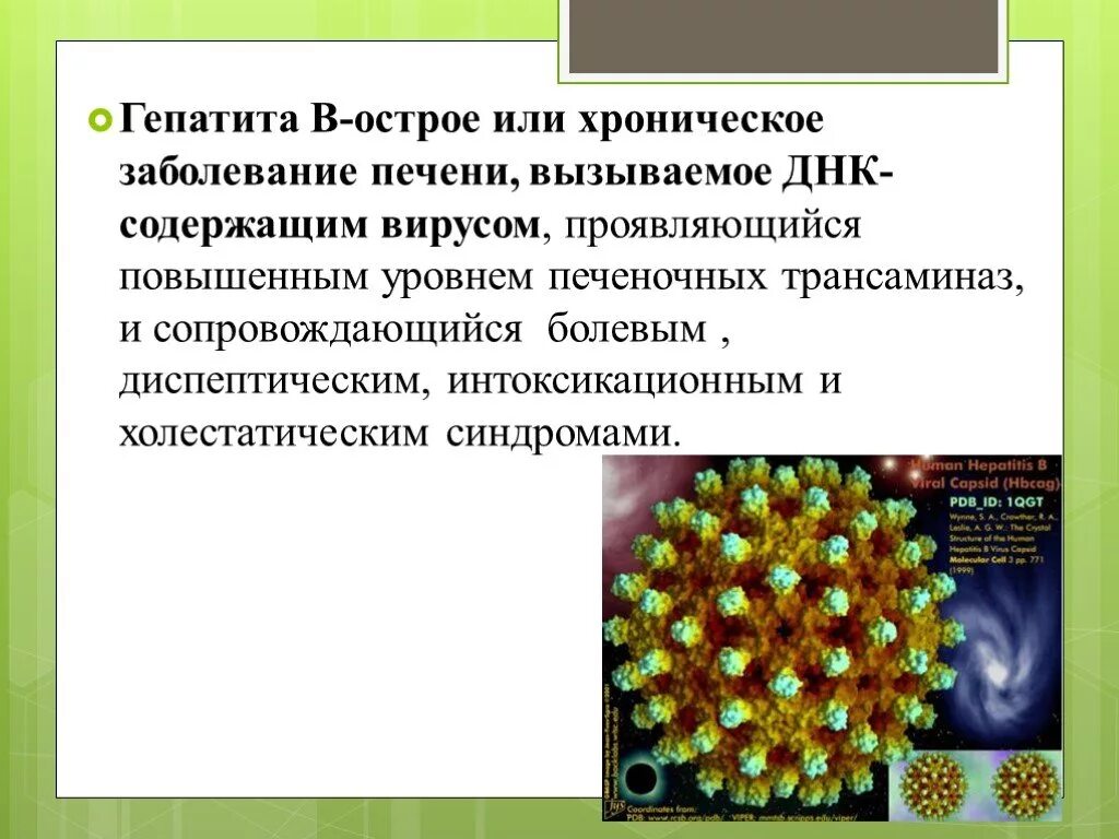 Гепатит вызывается вирусом. Гепатит презентация. вирусы вызывающие кератиты. гепатит а вызывается. днк содержащие вирусы гепатита.