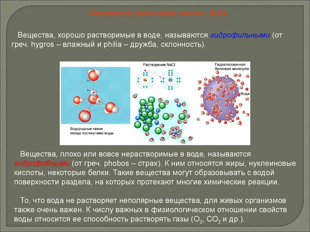 Неорганические живые клетки. Химические соединения клетки. Вещества хорошо растворимые в воде называются гидрофильными.. Виды химических клетки. Вещества нерастворимые в воде называются гидрофобными гидрофильными.