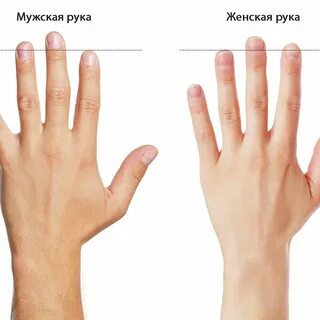 Сколько рук нормально