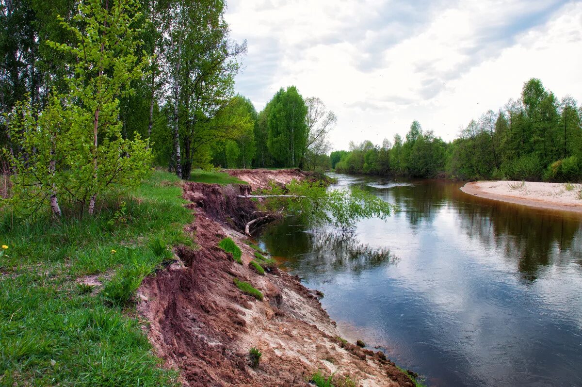 Узола река в нижегородской. Река узола. Река узола фото. Река узола. Река узола нижегородская область.