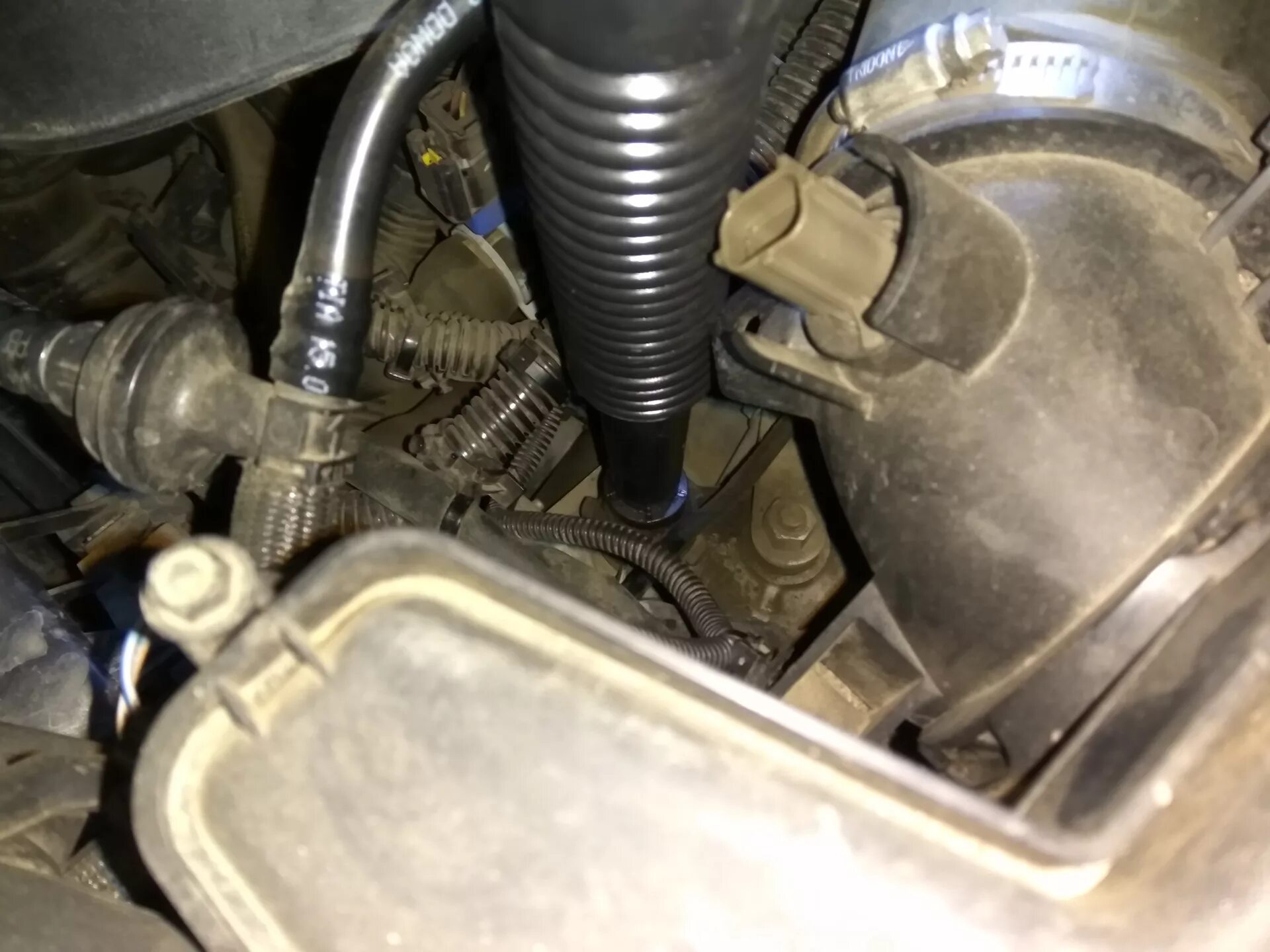 Форд куга автомат замена масла. Сапун акпп ford kuga 2 1.6. масло акпп ford kuga 2014 2.5. ford kuga 2 автомат масло. форд куга 2 заливная пробка акпп.
