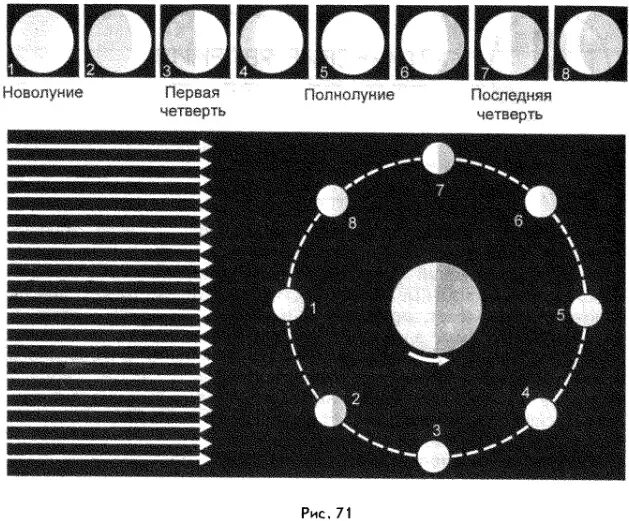 Новолуние и полнолуние. Виды лунных фаз. Смена фаз Луны. Схема новолуния и полнолуния. Новолуние и первая четверть.