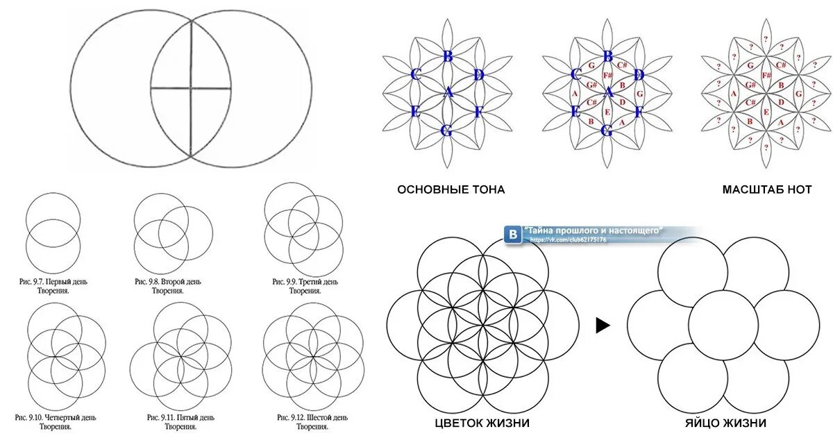 Книга цветок жизни тайны жизни. Семя жизни цветок жизни плод жизни. Цветок жизни схема рисования. Построение цветка жизни. Семя жизни Сакральная геометрия.