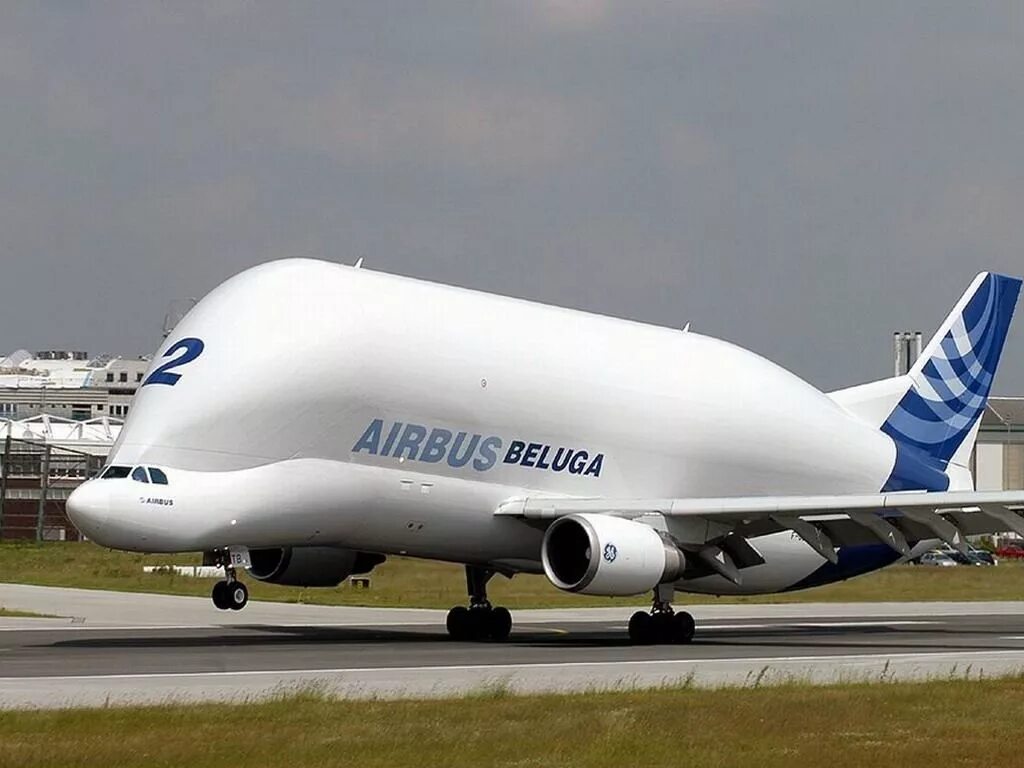 Самые большие пассажирские. Airbus Beluga грузовые самолёты. Эйрбас а380 Белуга. Аэробус а380 Белуга. Airbus а380 Белуга.