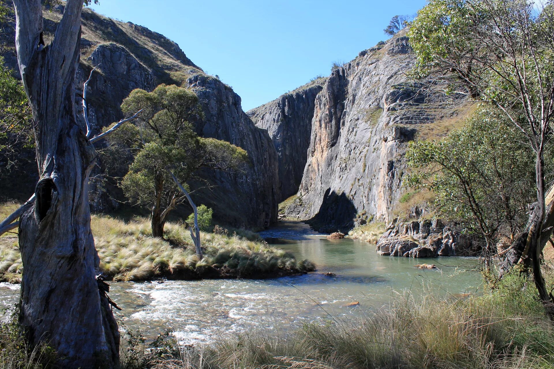 Муррей в австралии. Национальный парк крэдл маунтин-лейк сент клер. Гора нджесути в юар. Река флиндерс в австралии. Река муррей.