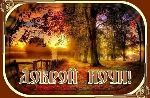 Осень доброй ночи картинки пожелания новые 2024