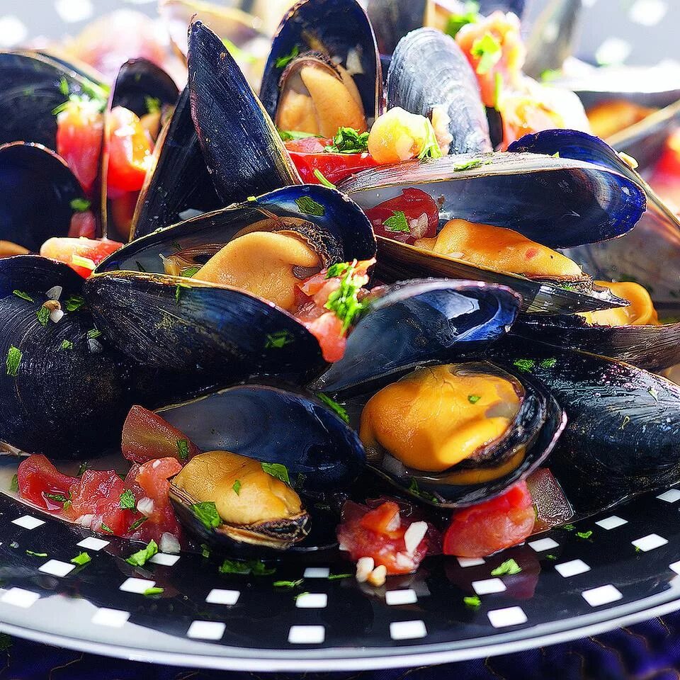 Мидия моллюск. Мидии Mussels. Мидия Живая. Мидии черные