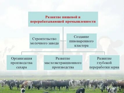 Перерабатывающей отрасли