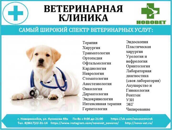 Сайт ел центр. Услуги ветеринарной клиники. Услуги в ветклинике. Реклама ветеринарной клиники. Ветеринарные услуги ветклиники.