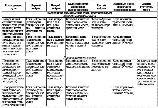 Проводящие пути головного и спинного. Проводящие пути спинного мозга анатомия таблица. восходящие проводящие пути таблица. проводящие пути головного мозга анатомия таблица. сравнительная таблица проводящие пути головного и спинного мозга.
