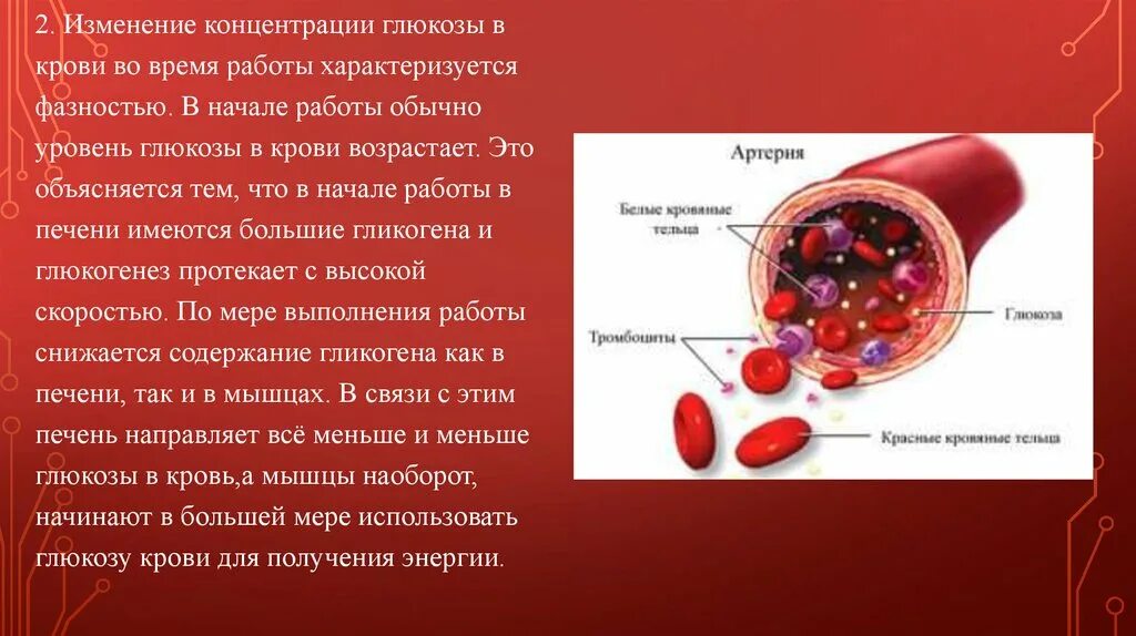 Изменения массы крови