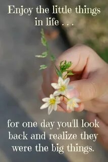 Enjoy little