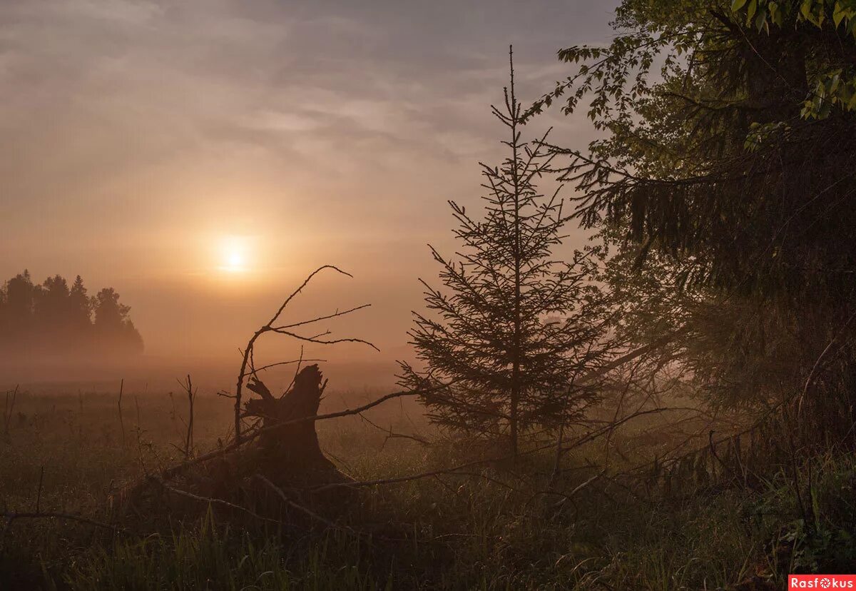 Небо прозрачное утро как. Осенняя заря. Пейзаж туман. Утренняя заря в деревне. Осенний туман.