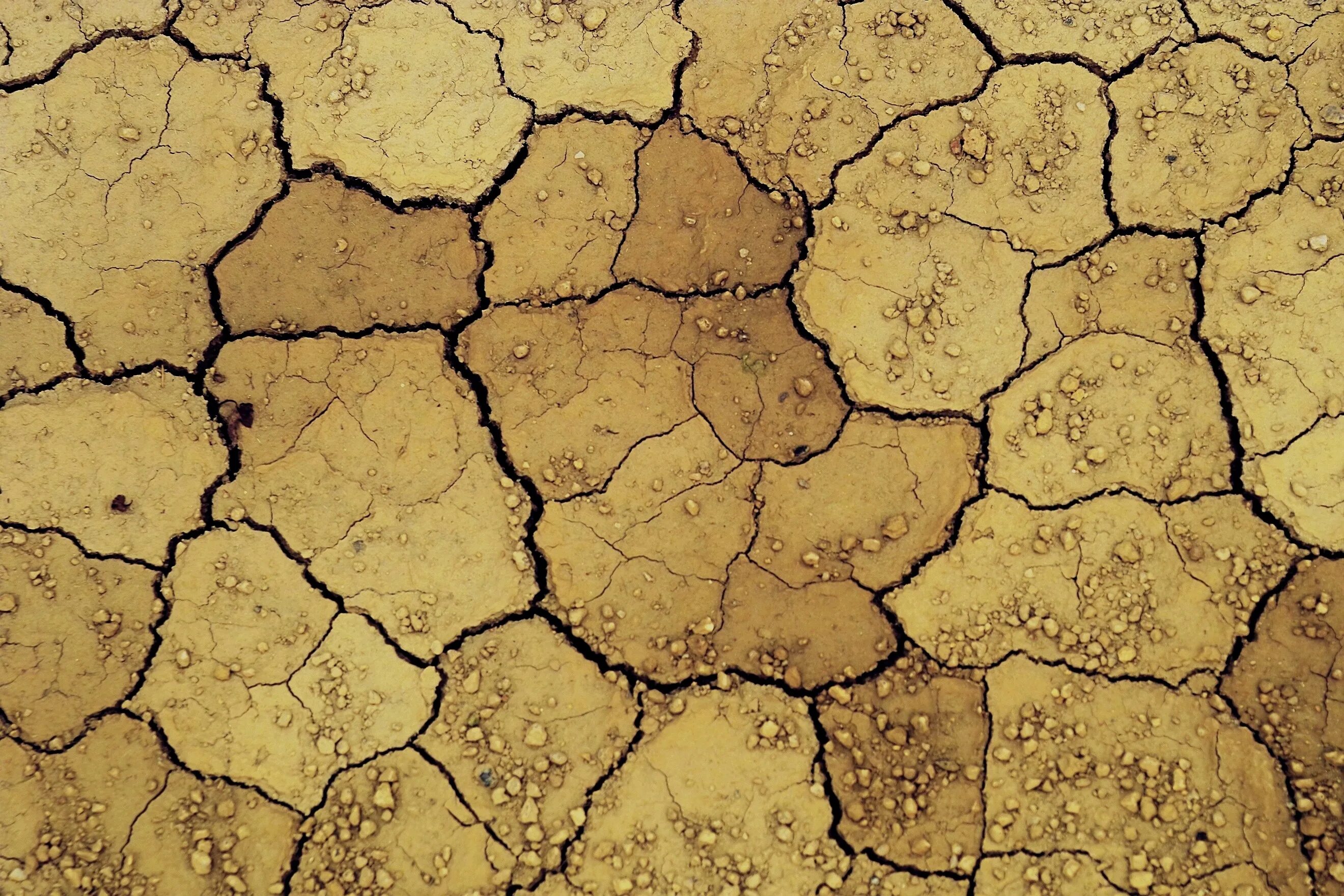 Трещины на поверхности. Текстура пустыни. Текстура потрескавшейся земли. Текстура земли. Почва текстура.
